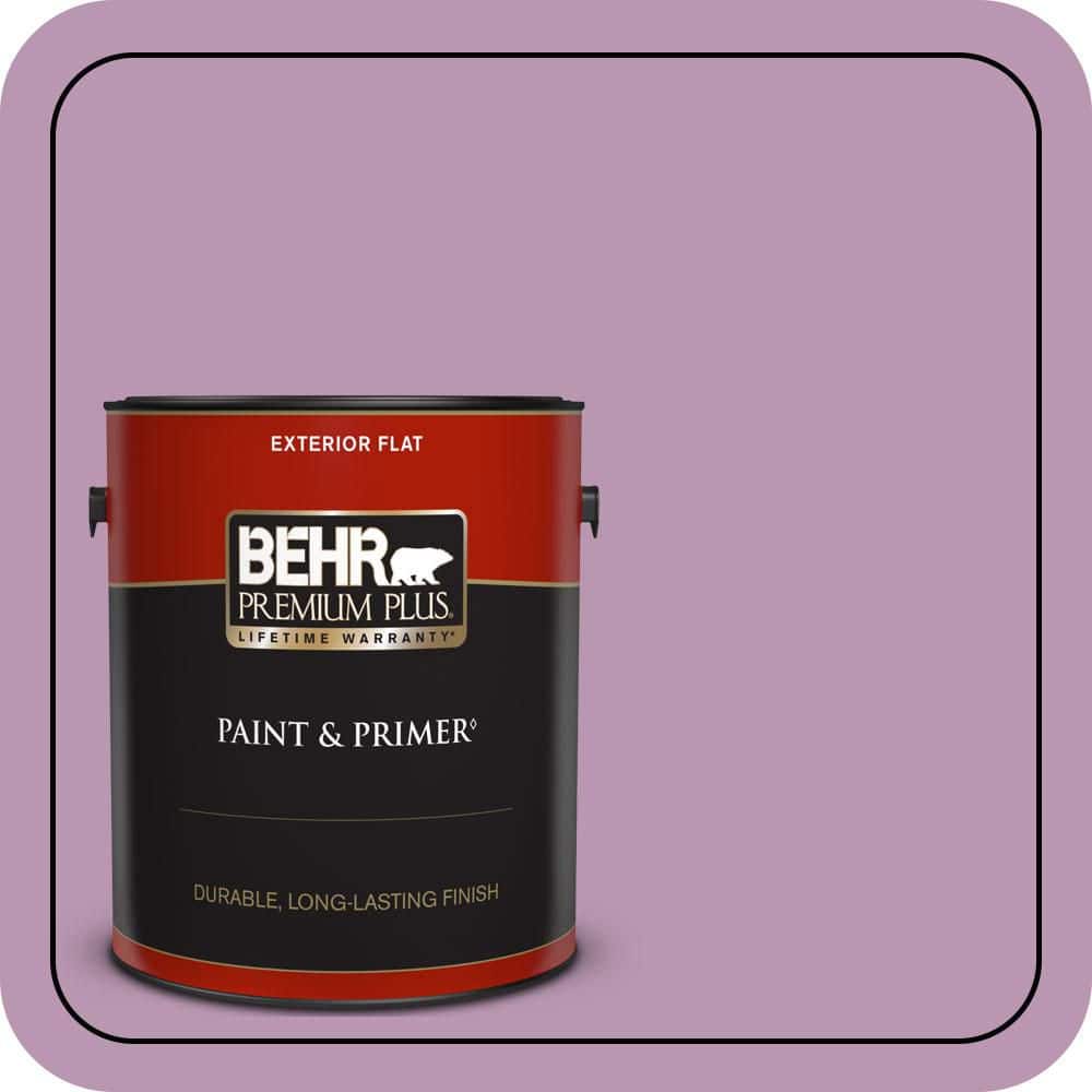 1 gal. #M110-4 Cherished Flat Exterior Paint & Primer price history on PriceWatchPro