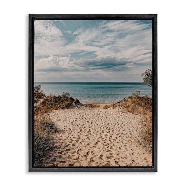 Stupell Industries Traveled Beach Path by LSR Design Studio Black Floater Frame Coastal Graphic Art Print 21 in. x 17 in.