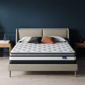 Box Top Series 8 in. Medium Firm Twin XL Pocket Spring Hybrid Mattress