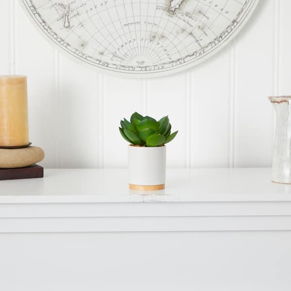 Nearly Natural 6 in. Artificial Succulent Plant in White Ceramic Planter