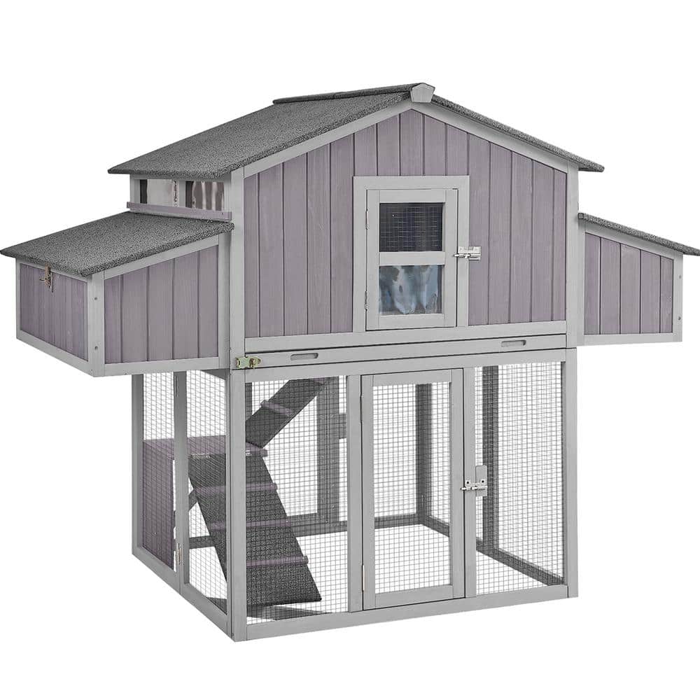 54.6 in. H x69.8 in.W x 42 in.D Chicken Coop Fir Wood Foldable Chicken Coop for 3-4 Chickens with Fast Assembly Design price history on PriceWatchPro