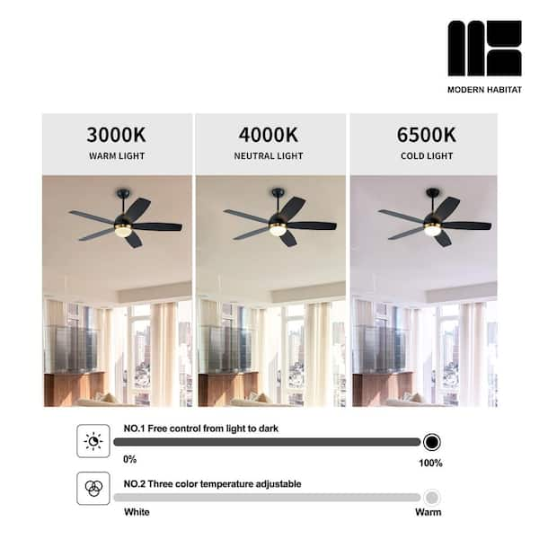 MODERN HABITAT WhisperBloom 52 in. Indoor Satin Brass Ceiling Fan 