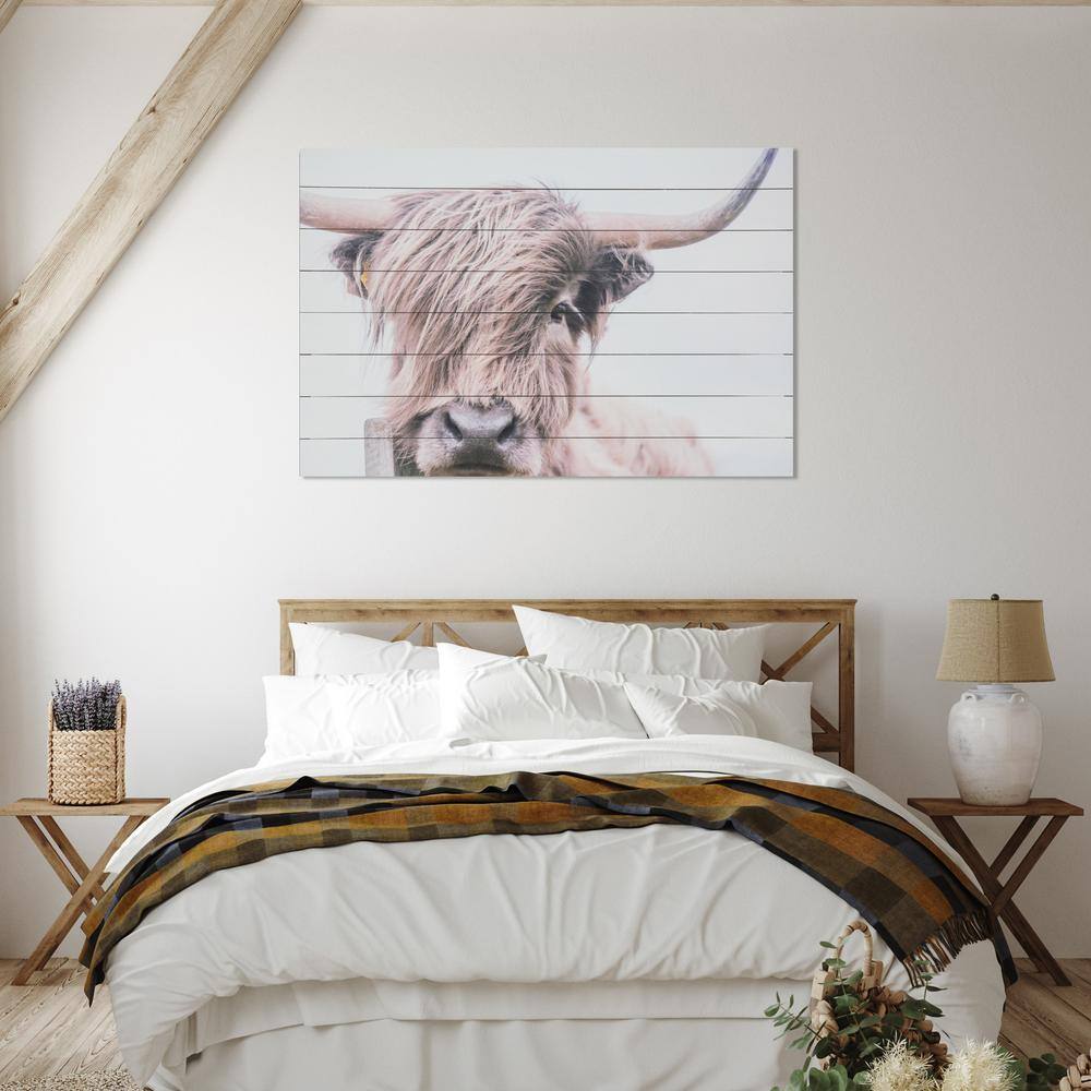 Highland Cow Photographic Print on Fir Wood Wall Art