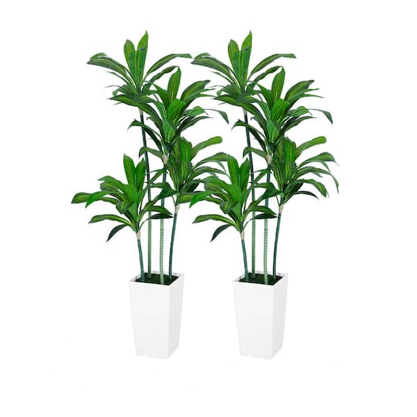 hykolity Dracaena 5 ft. Artificial Dracaena Trees Tall Faux Tree in White Tall Planter