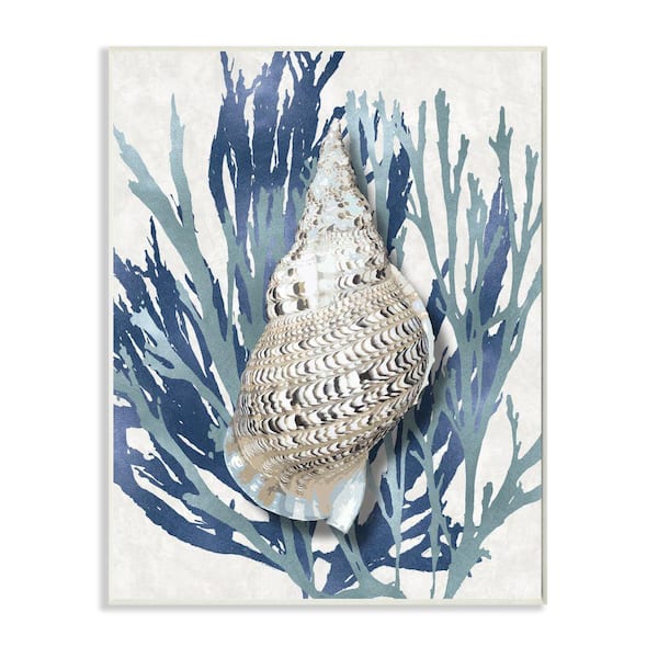 Stupell Industries "Shell Coral Blue Beach Design" by Caroline Kelly Unframed Nature Wood Wall Art Print 13 in. x 19 in.