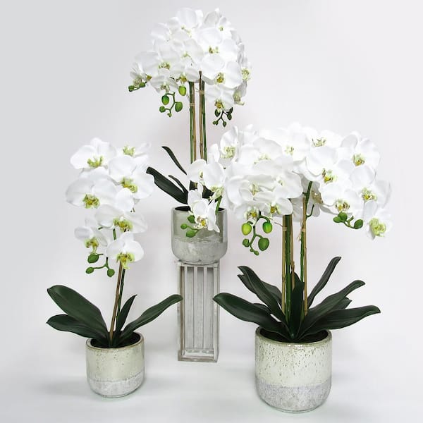LIVING LUXURY 22 in. White Artificial Phalaenopsis Orchid Flower