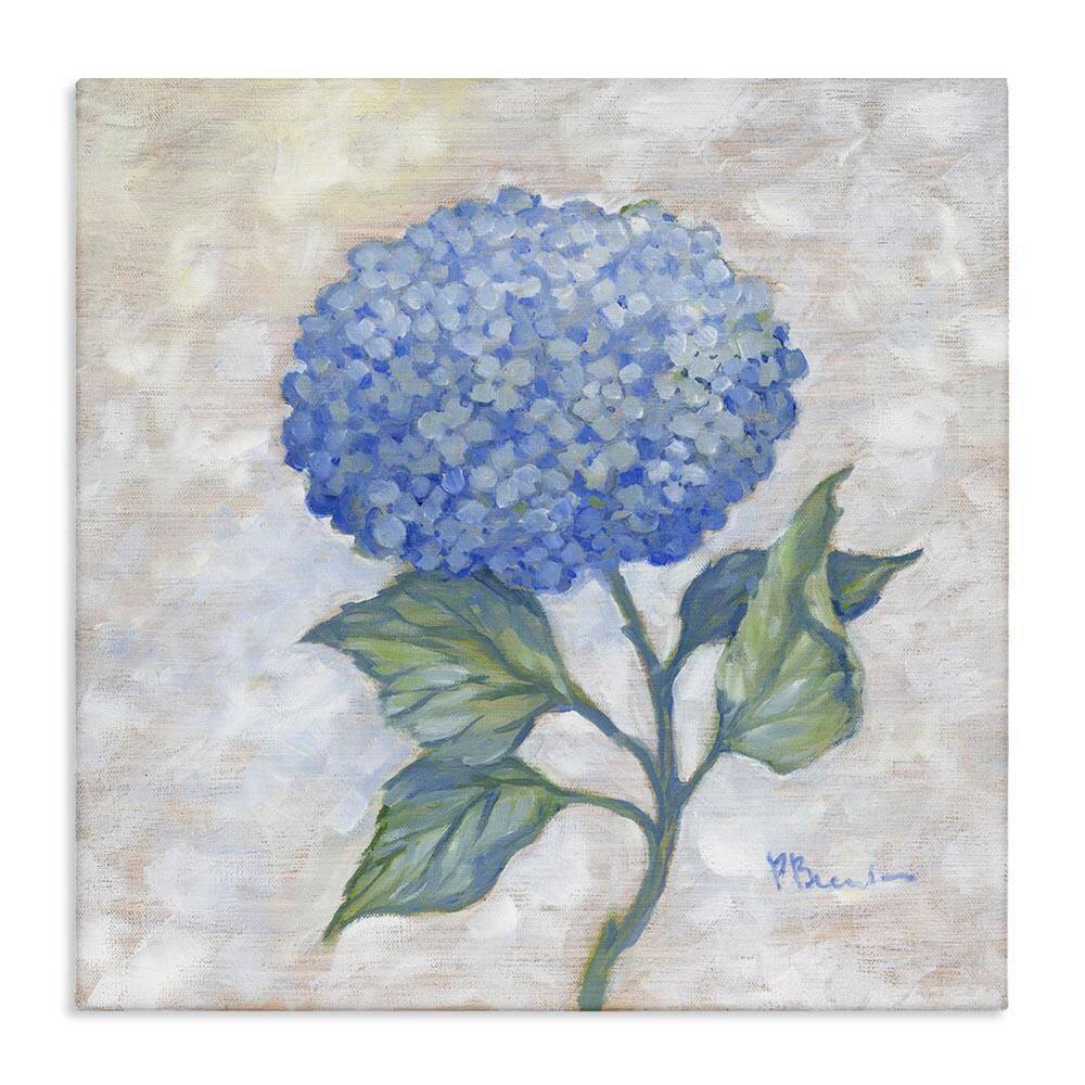 Traditional Blue Hydrangea Bloom by Paul Brent Unframed Nature Graphic Art Print 30 in. x 5 in. price history on PriceWatchPro