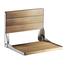 https://images.thdstatic.com/productImages/6dc0d121-c670-44ee-b1d4-a13778a54aa9/svn/stainless-steel-moen-shower-seats-dn7110-64_65.jpg