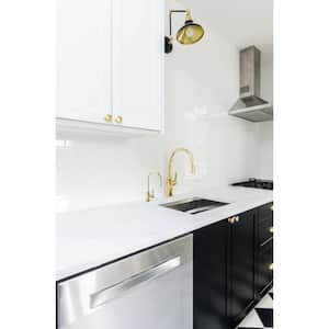 11 in. Contemporary 1-Lever Handle Cold Water Dispenser Faucet, Polished Brass