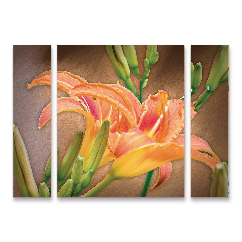 Leslie Montgomery A Gift From the Orient 3-Piece Panel Set Unframed Photography Wall Art 24 in. x 32 in.
