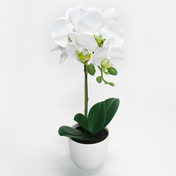 17 in. White Artificial Phalaenopsis Orchid Flower Arrangement in White Pot