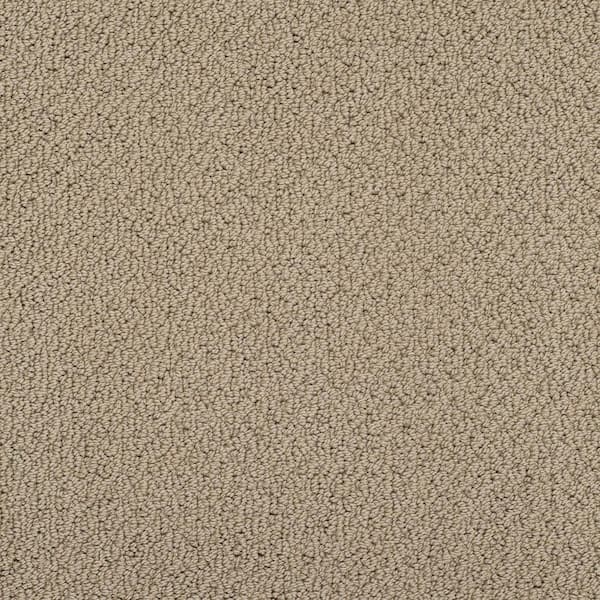 8 in. x 8 in. Loop Carpet Sample - Lightbourne - Color Milk Chocolate