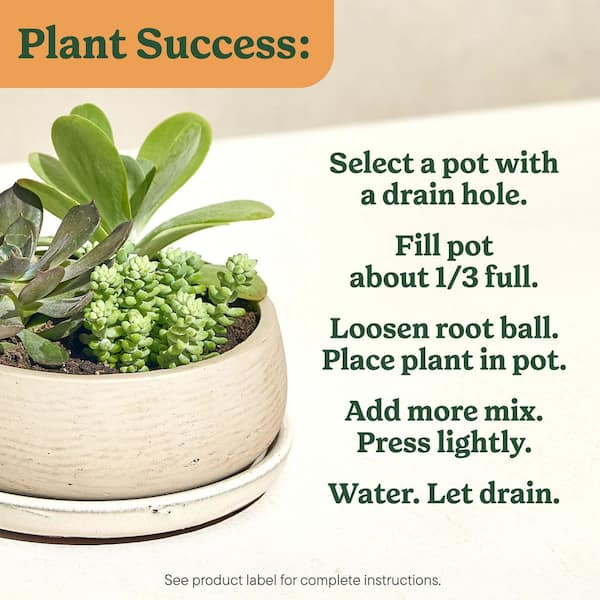 Reviews for Miracle-Gro Indoor Potting Mix for Cactus and Succulent 8 qt.  Fast-Draining Cactus and Succulent Potting Soil with Plant Food | Pg 1 -  The Home Depot