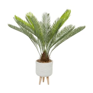 43 in. H Sago Palm Artificial Plant with Realistic Leaves and White Ceramic Pot