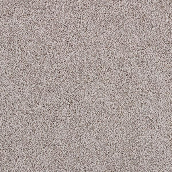 Lifeproof with Petproof Technology Playful Moments II Cloudy Charcoal Gray 49 oz Triexta Texture Installed Carpet