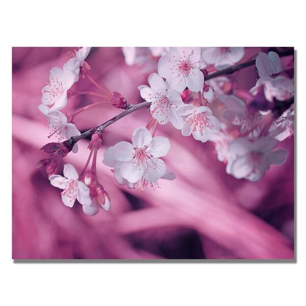 Trademark Fine Art 18 in. x 24 in. Spring Time Canvas Art-DISCONTINUED