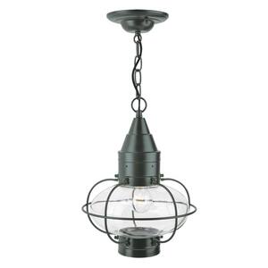 Classic Onion 1-Light Gun Metal Outdoor Pendant Light with Clear Glass