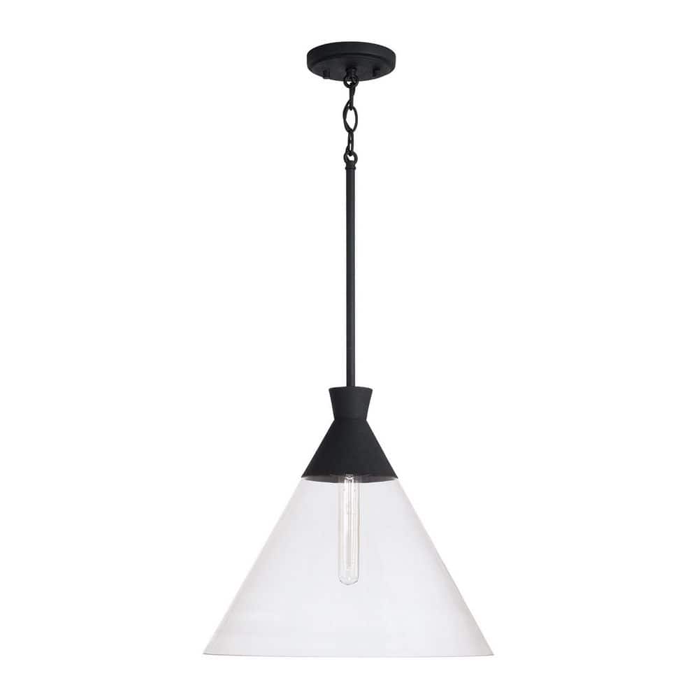 Paloma 100-Watt 1-Light Textured Black Pendant Light with Clear Glass and No Bulbs Included price history on PriceWatchPro