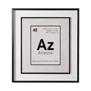 31.5 in. L x 1.6 in. W x 35.5 in. H Breaking Arizona Series Black Framed Print Wall Art