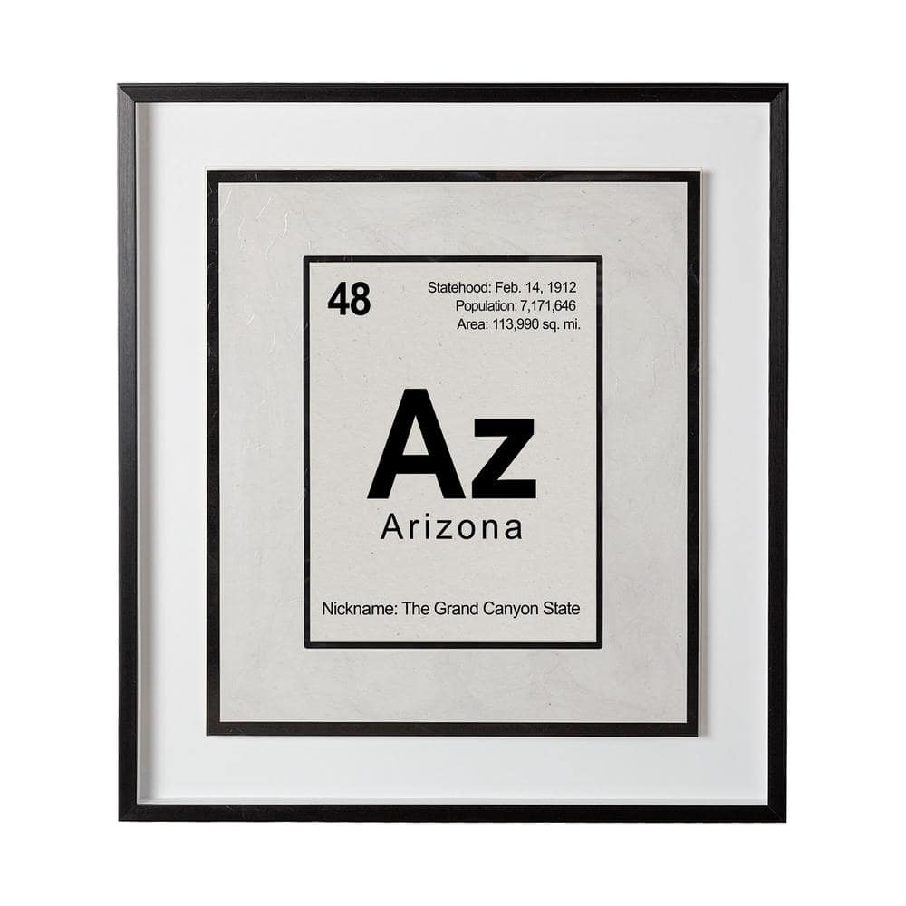 31.5 in. L x 1.6 in. W x 35.5 in. H Breaking Arizona Series Black Framed Print Wall Art price history on PriceWatchPro
