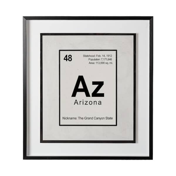 31.5 in. L x 1.6 in. W x 35.5 in. H Breaking Arizona Series Black Framed Print Wall Art