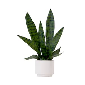 16 in. Green Artificial Sansevieria Snake Plant with Decorative Planter