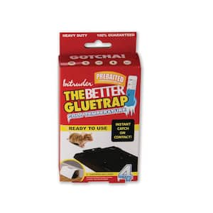 Intruder The Better Gluetrap Cold Temperature Mouse Size (Pack of 4)