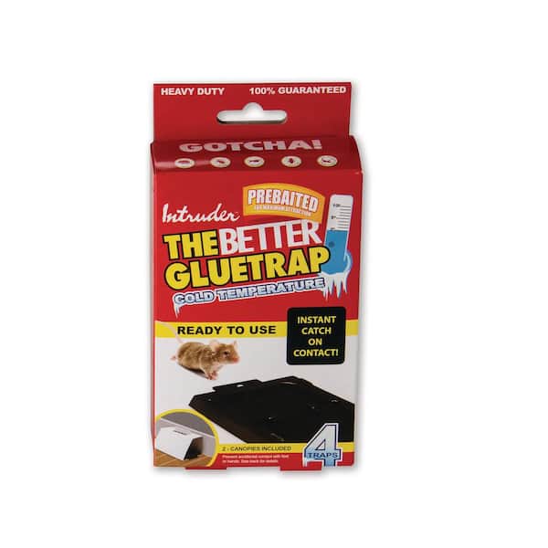 Intruder's The Better Mousetrap 6 Pack