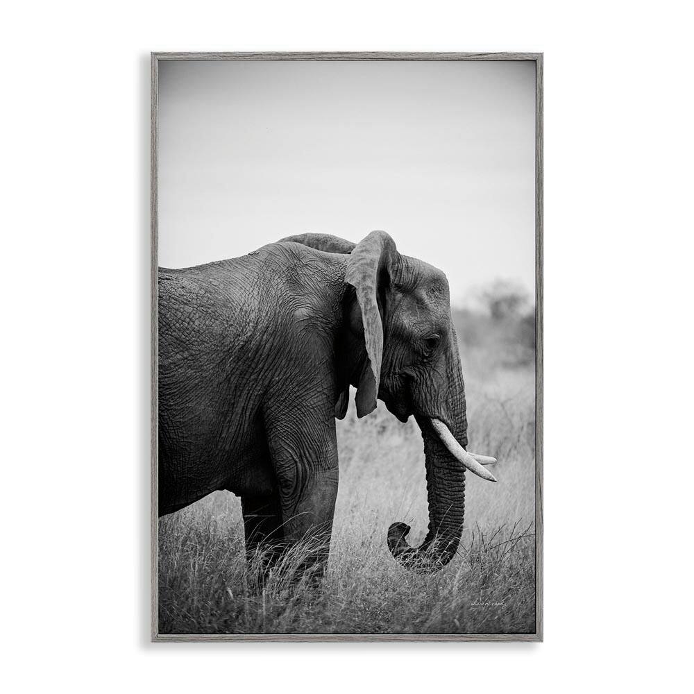 Side Profile Elephant by Sharon Vardy Gray Framed Animal Giclee Art Print 24 in. x 16 in. price history on PriceWatchPro