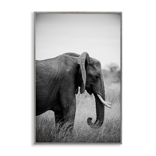Side Profile Elephant by Sharon Vardy Gray Framed Animal Giclee Art Print 30 in. x 20 in.