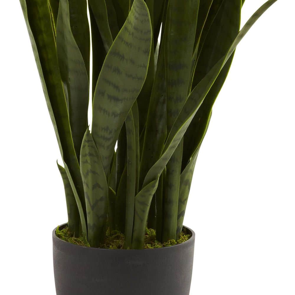 Nearly Natural Artificial Sansevieria with Black Planter