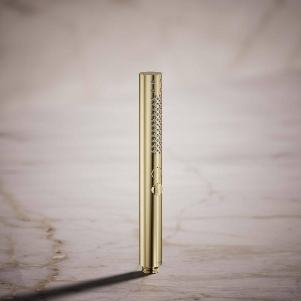 Vibrant French Gold Two-Function Handheld Shower Head