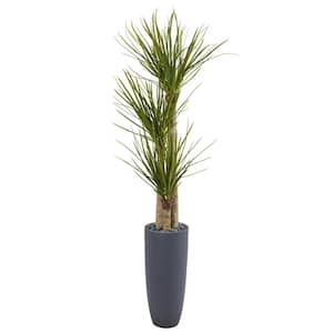 6 ft. Yucca Artificial Tree in Bullet Planter