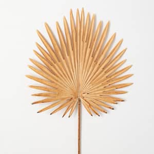 36" Beige Fan Palm Leaf