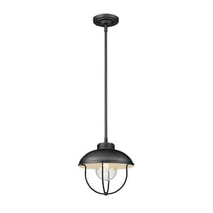 Ansel 1-Light Black Outdoor Pendant with Black Glass Shade
