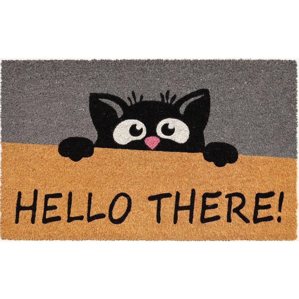 Vinyl Back Hello There 30 in. x 18 in. Coir Door Mat price history on PriceWatchPro