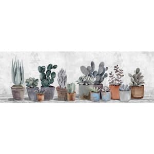 "Succulent Collection" by Marmont Hill Unframed Canvas Nature Wall Art 20 in. x 60 in.