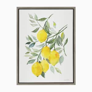 Sylvie "Lemon Citrus" by Patricia Shaw Framed Canvas Wall Art 24 in. x 18 in.