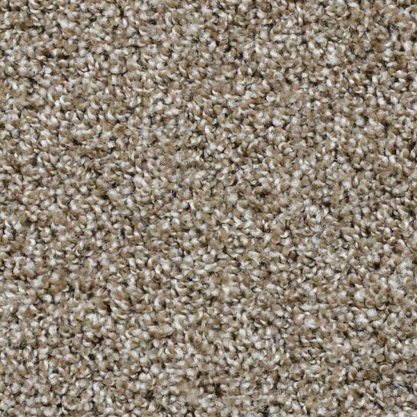 TrafficMaster Dignified  - Palisades - Brown 16 oz. SD Polyester Texture Installed Carpet