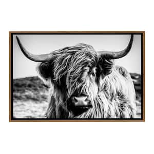 Black and White Highland Cow Framed Canvas Wall Art - 18 in. x 12 in. Size, by Kelly Merkur 1-pc Natural Frame