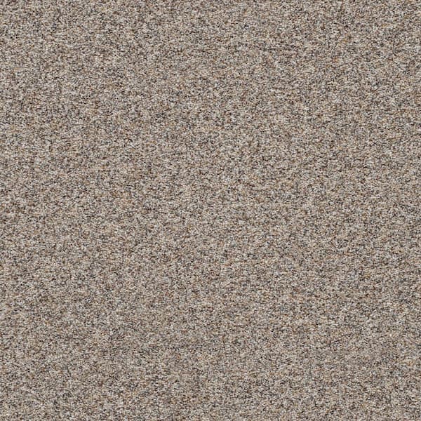 Lifeproof Modern Mosaic I-Biggs Beige-45 oz. SD Polyester Texture Installed Carpet