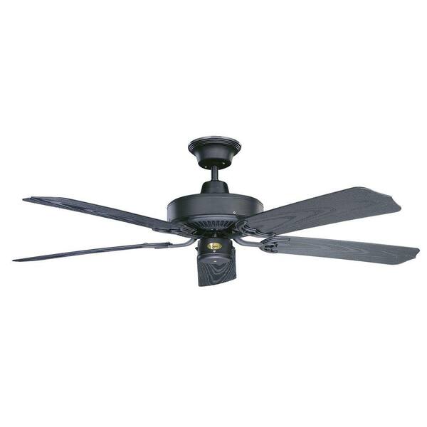 Radionic Hi Tech Cape North Outdoor 44 in. Graphite Ceiling Fan with 5 Blades