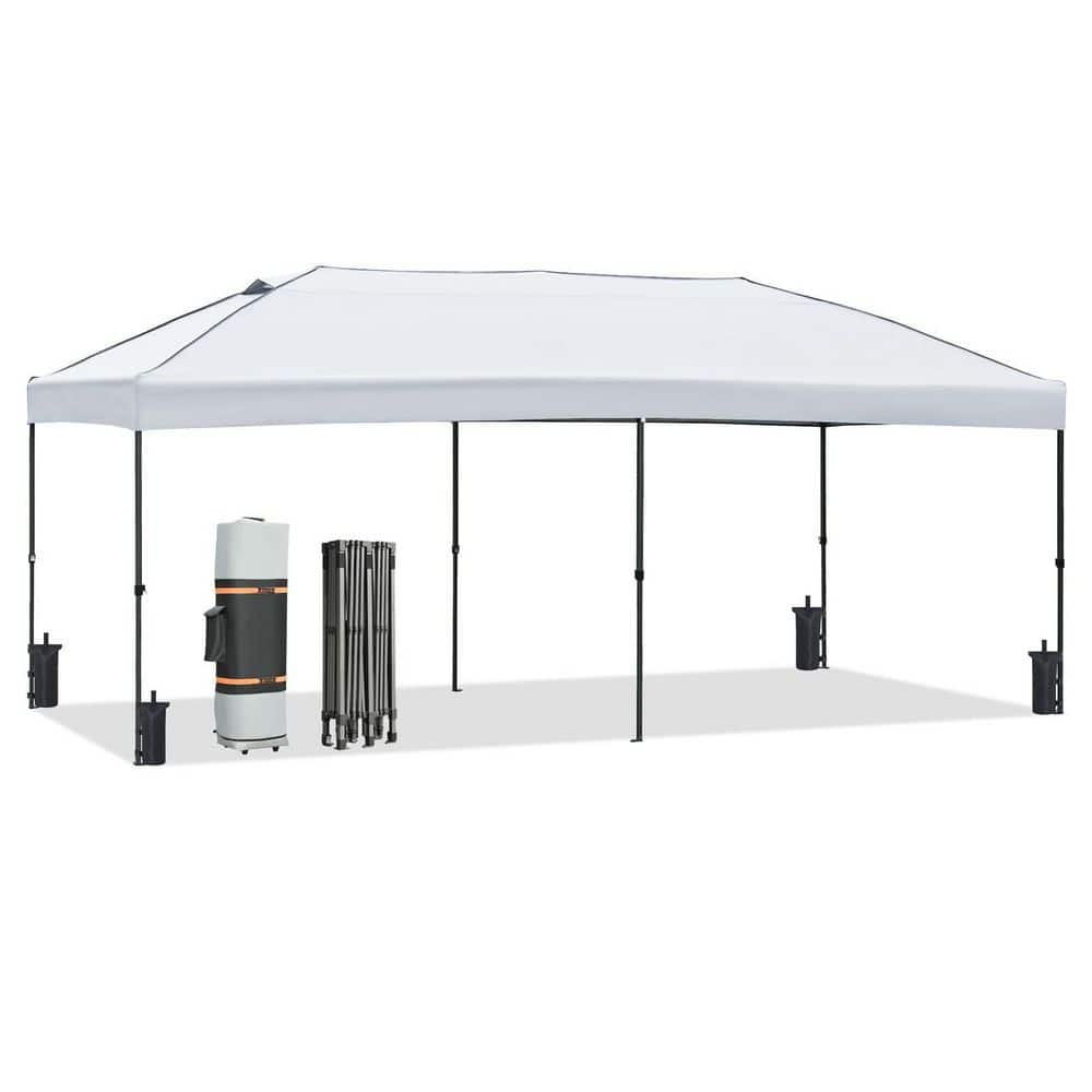 38BEE TEN | TENt o TEN