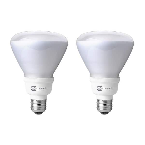 EcoSmart 65-Watt Equivalent R30 Non-Dimmable CFL Light Bulb Daylight (2-Pack)
