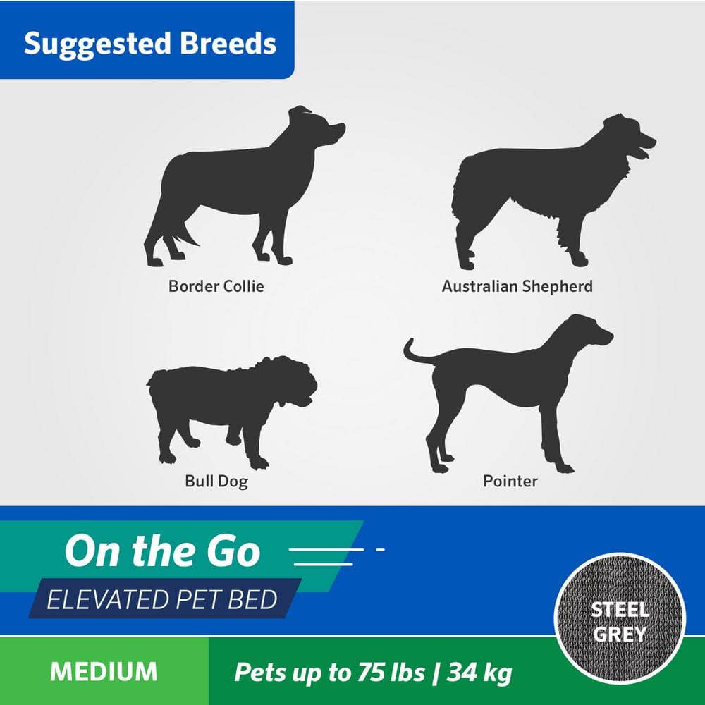 Medium Green Elevated Folding Pet Bed with Steel Frame