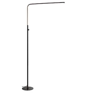 Jonathan Y Iris 59 5 In Gold Led Integrated Floor Lamp Jyl7007b The Home Depot