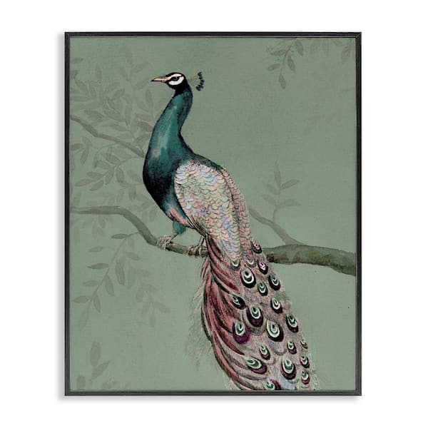 Stupell Industries Regal Peacock on Branch by Cloverfield and Co. Black Framed Animal Giclee Art Print 14 in. x 11 in.