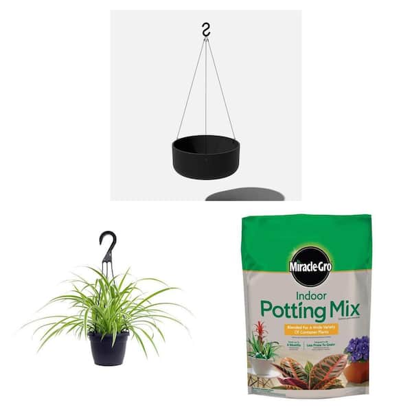 Kona 14 in. Hanging Bowl Planter, 6 in. Spider Plant Basket and 6 qt. Indoor Potting Mix