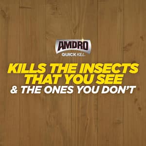 Quick Kill 18 oz. Indoor and Outdoor Carpenter Bee, Ant and Termite Killer Foam