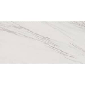 Starmount White Quartz 5 in. x 5 in. Glazed Porcelain Floor and Wall Tile Sample